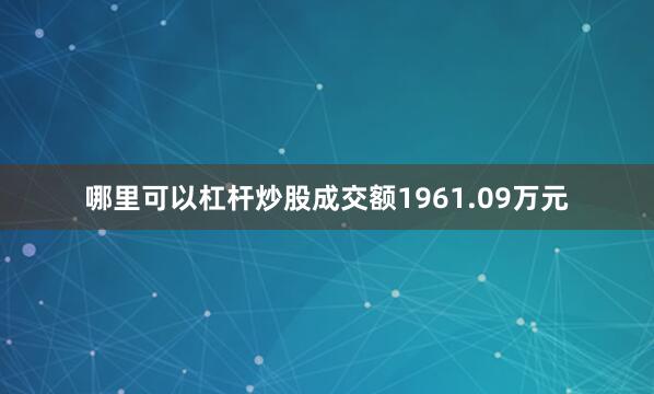 哪里可以杠杆炒股成交额1961.09万元