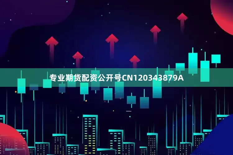 专业期货配资公开号CN120343879A