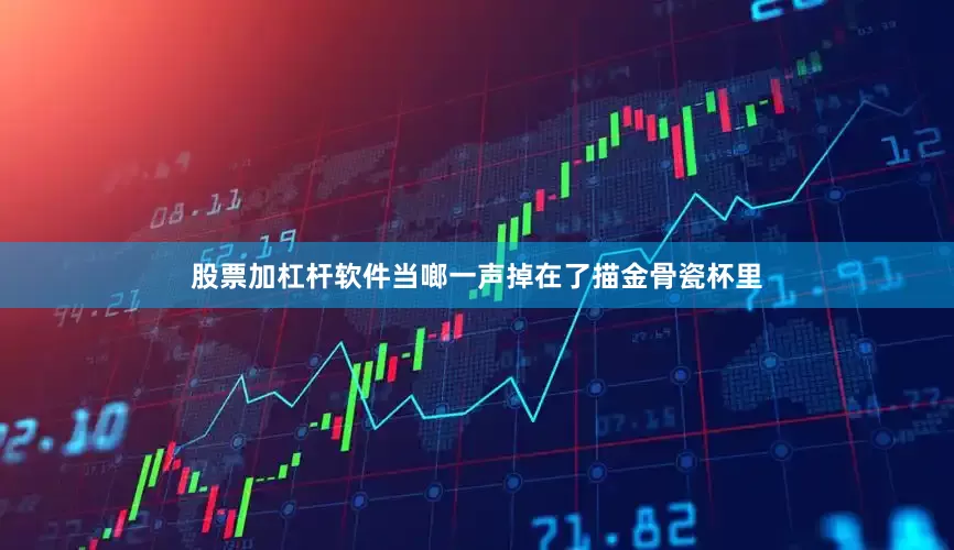 股票加杠杆软件当啷一声掉在了描金骨瓷杯里