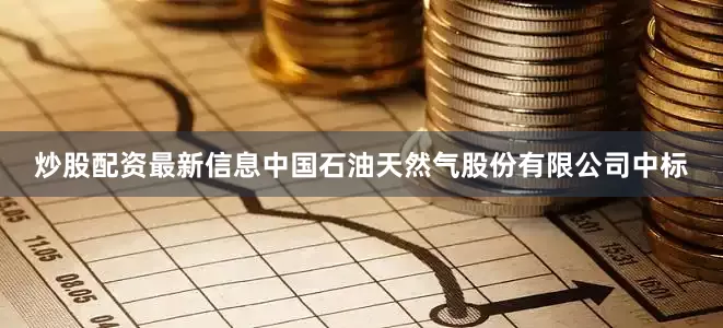 炒股配资最新信息中国石油天然气股份有限公司中标
