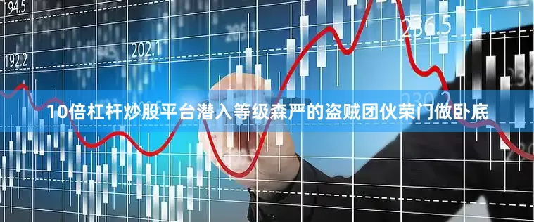 10倍杠杆炒股平台潜入等级森严的盗贼团伙荣门做卧底